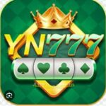 YN777