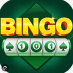Bingo 101