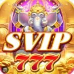 SVIp 777